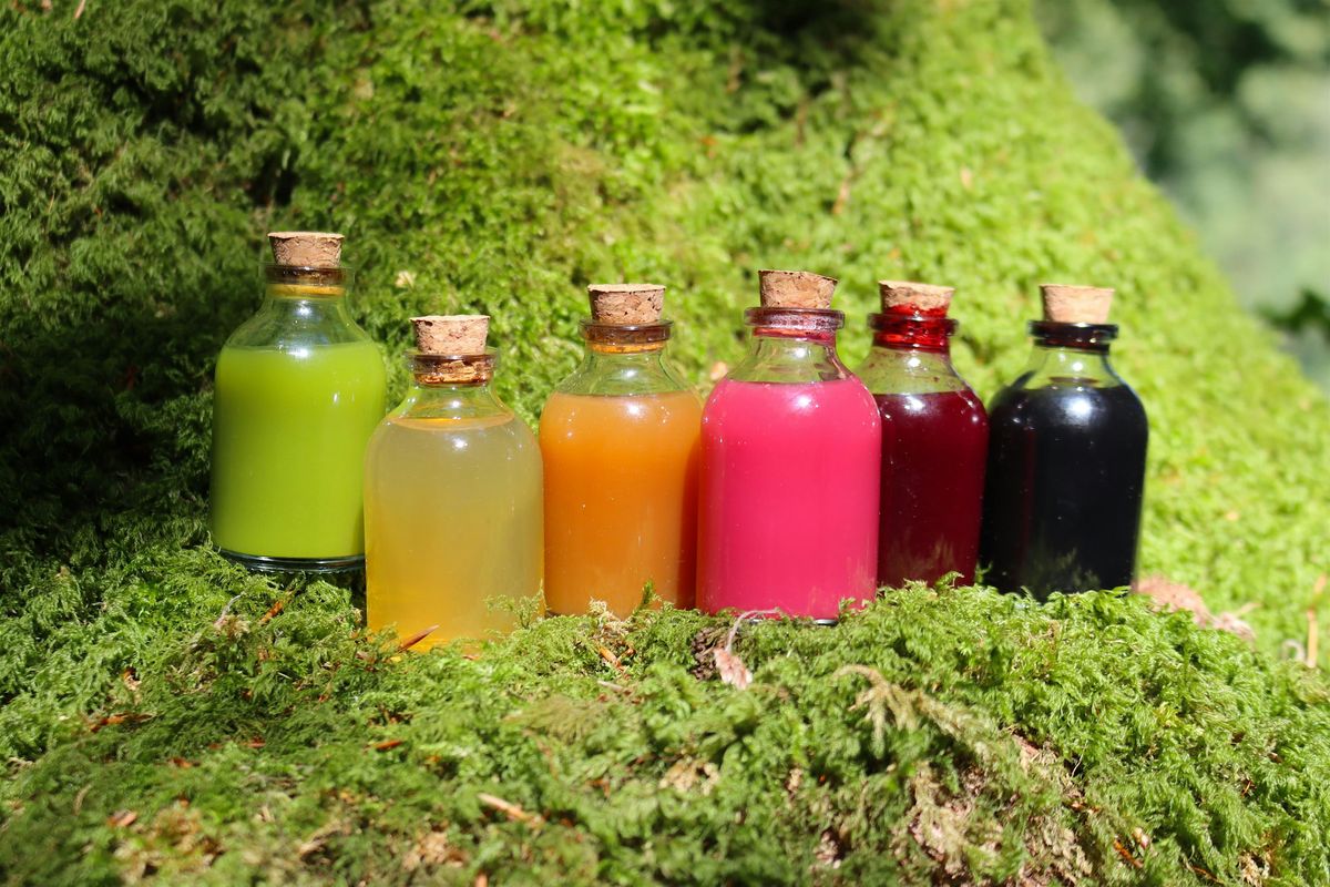 Drawing Colour from the Woods | Event in Minehead | AllEvents