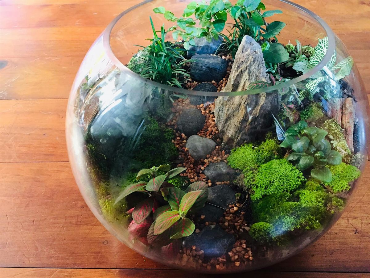 Large terrarium workshop, 24 January | Event in West End | AllEvents