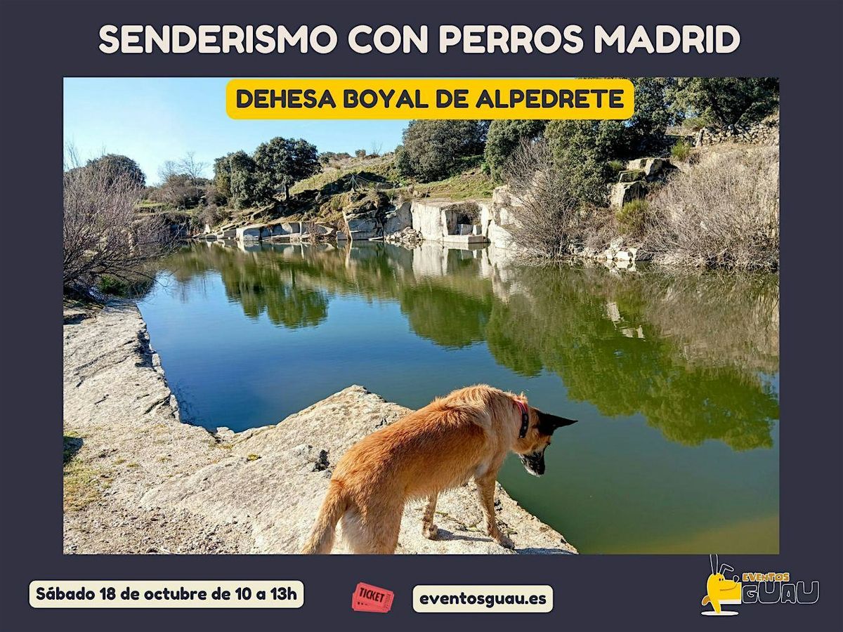 Dehesa boyal de Alpedrete – ruta de canteras y disfrute con perros, 18 October | Event in Alpedrete | AllEvents