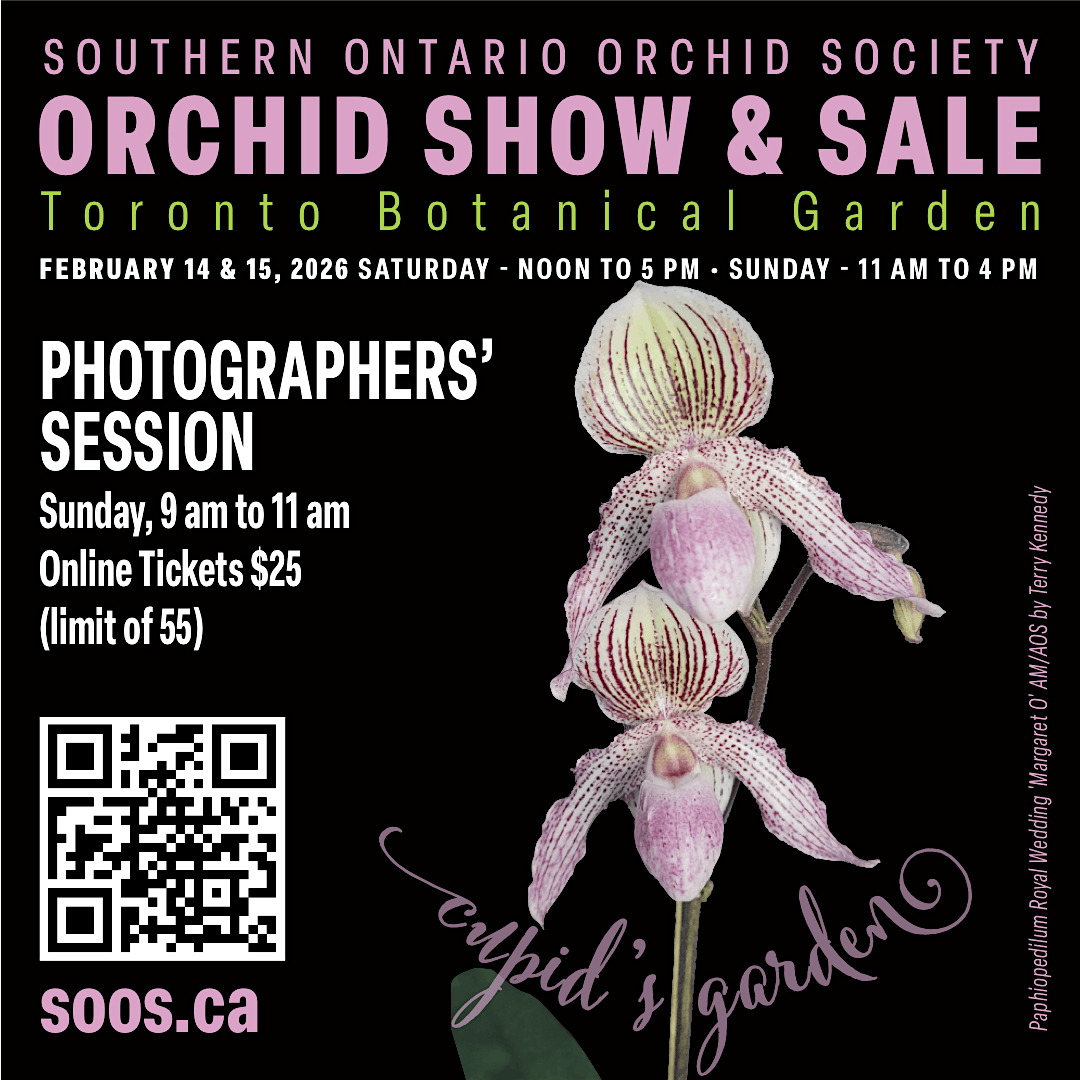 Photographers' ONLY session (Uni and Tripods permitted), 15 February | Event in Toronto | AllEvents