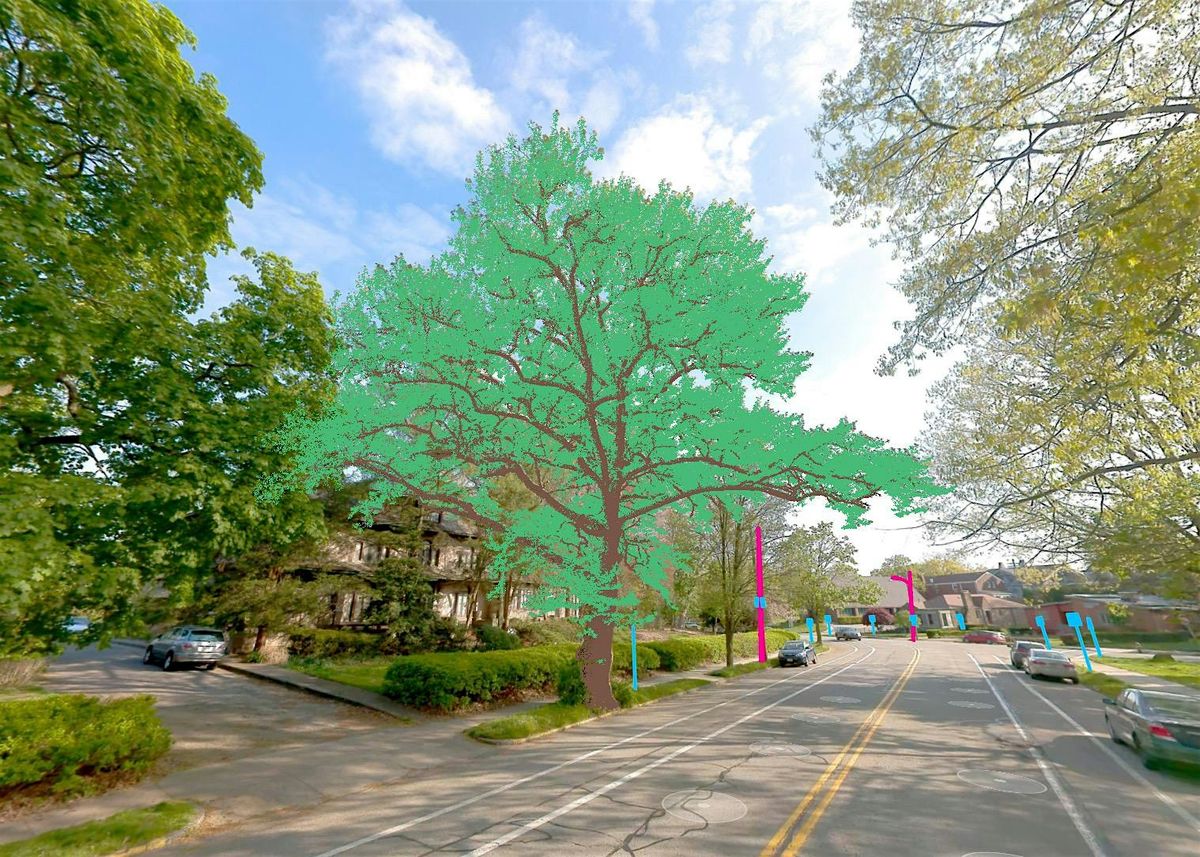 Smart Tree Management Lunch & Learn  | Salt Lake City, UT, 30 July | Event in Salt Lake City | AllEvents