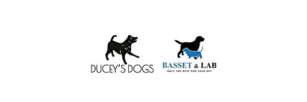 Pack Walk in the Park with Ducey's Dogs and Basset & Lab, 16 August | Event in Lancaster | AllEvents