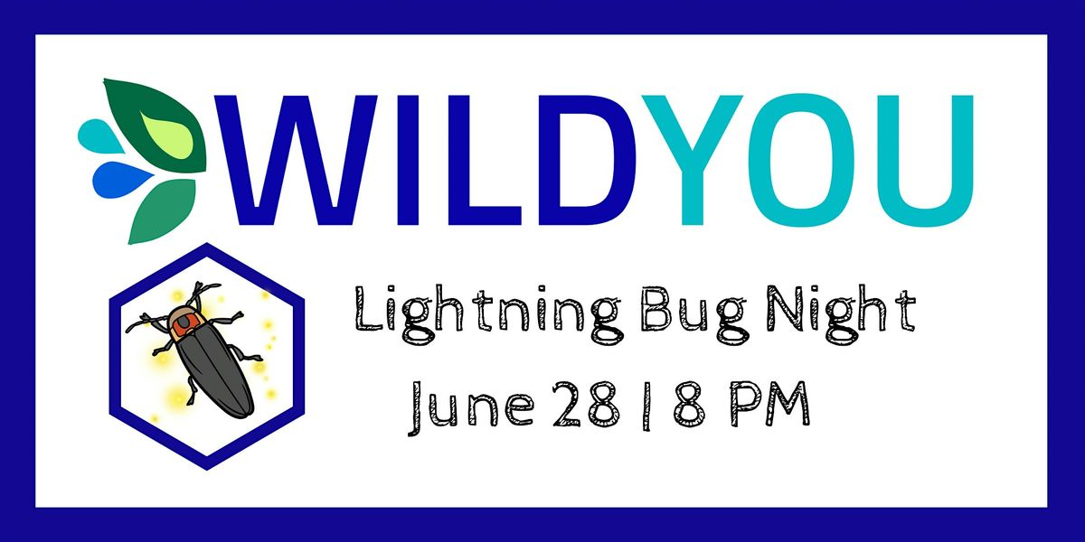 Lightning Bug Night, 28 June | Event in Austintown | AllEvents