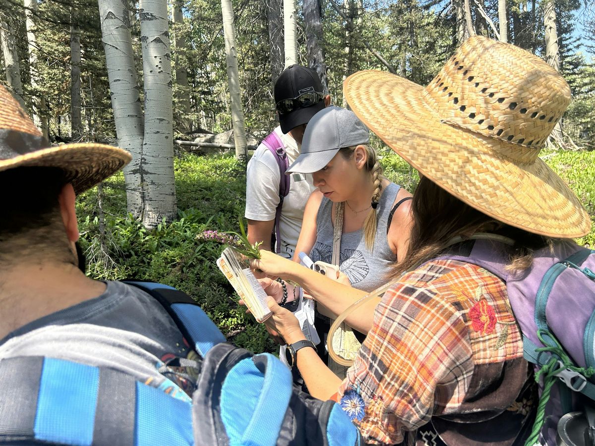 Foraging in Northern NM El Valle | Event in Santa Fe | AllEvents