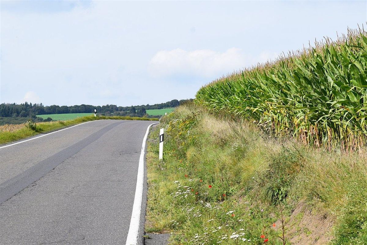 Right-of-Way Pesticide Training Class -4-22-2026, 22 April | Event in Homestead | AllEvents