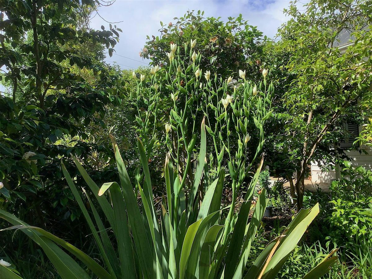South Gippsland Open Garden - Snip and Tuck in Pruning Day, 13 July | Event in Leongatha | AllEvents