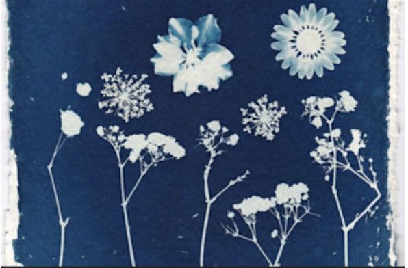 Skill Shift Presents: Cyanotype Printing, 26 August | Event in Squamish | AllEvents