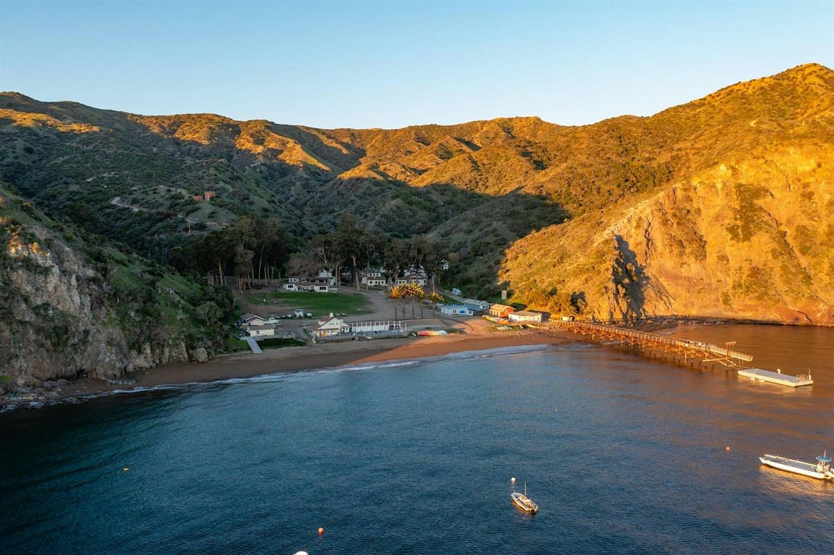 2025 Catalina Donations, 26 September | Event in Avalon | AllEvents