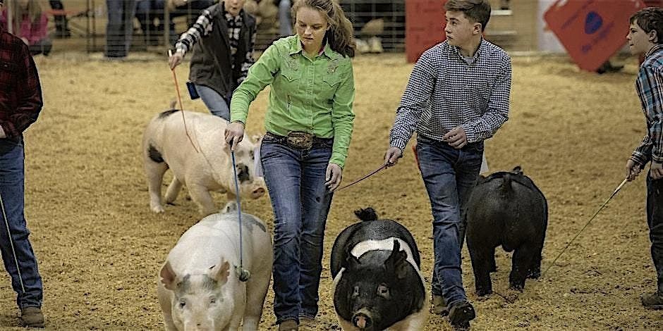 2026 York County 4-H & FFA Swine Project Registration, 5 December | AllEvents