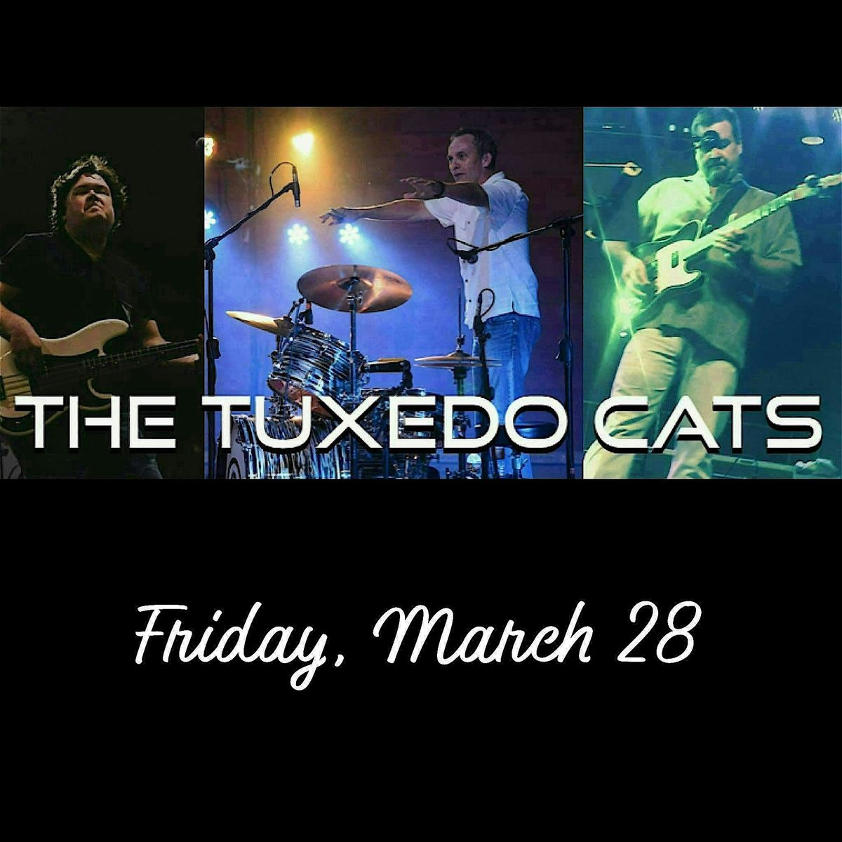 Tuxedo Cats: Variety Covers at Serenade Range, 6 June | Event in Whitehouse | AllEvents