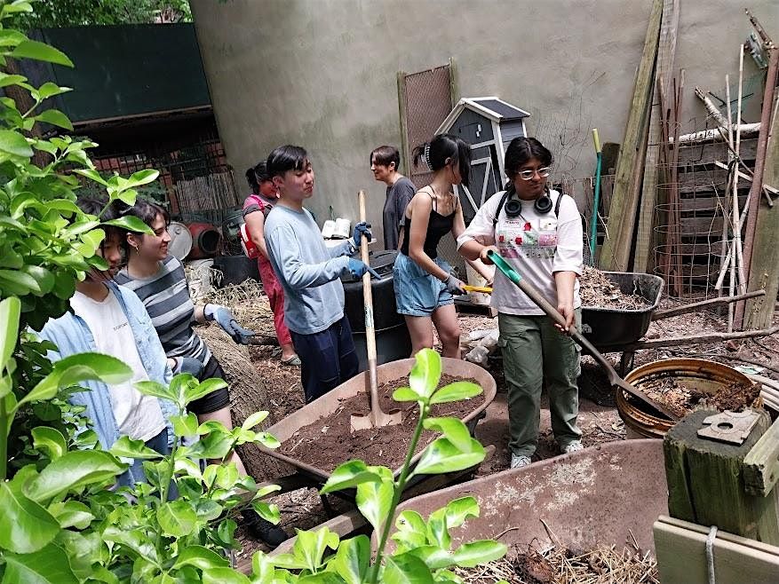 Community Garden Volunteer Days | Event in New York | AllEvents
