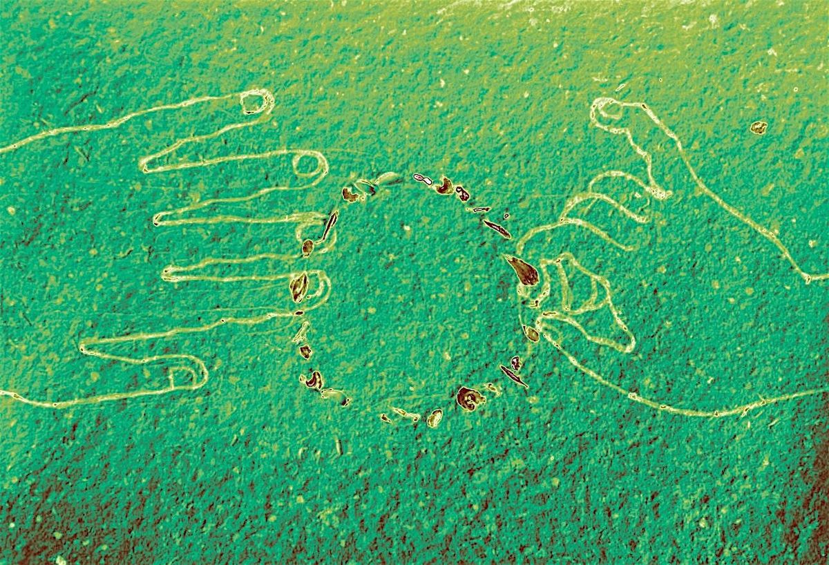 Tracing the seed, remembering the circle: A paint-making & drawing workshop, 19 July | Event in London