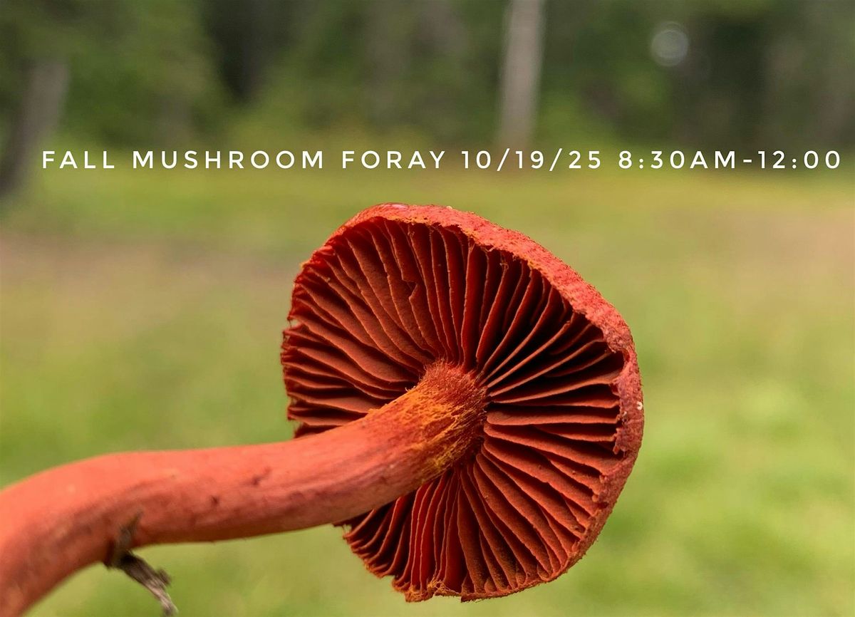 Fall Mushroom Foray Sun/10/19/25 8:30am, 19 October | Event in Trout Lake | AllEvents
