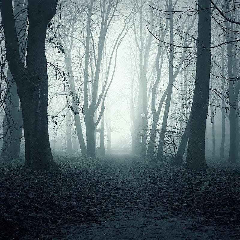 Twilight Terrors: A Battlefield Ghost Walk, 19 September | Event in Mechanicsville | AllEvents