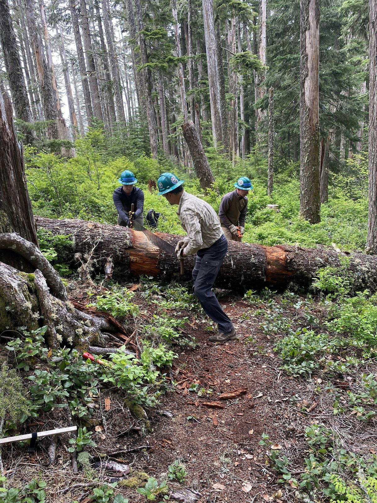 Tanner Butte Trail Party - Gorge, 31 July | Event in Cascade Locks | AllEvents