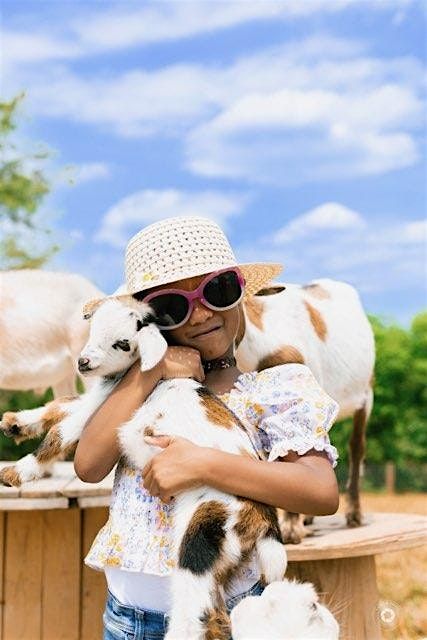 Paint and sip with goats!, 21 September | Event in Louisa | AllEvents