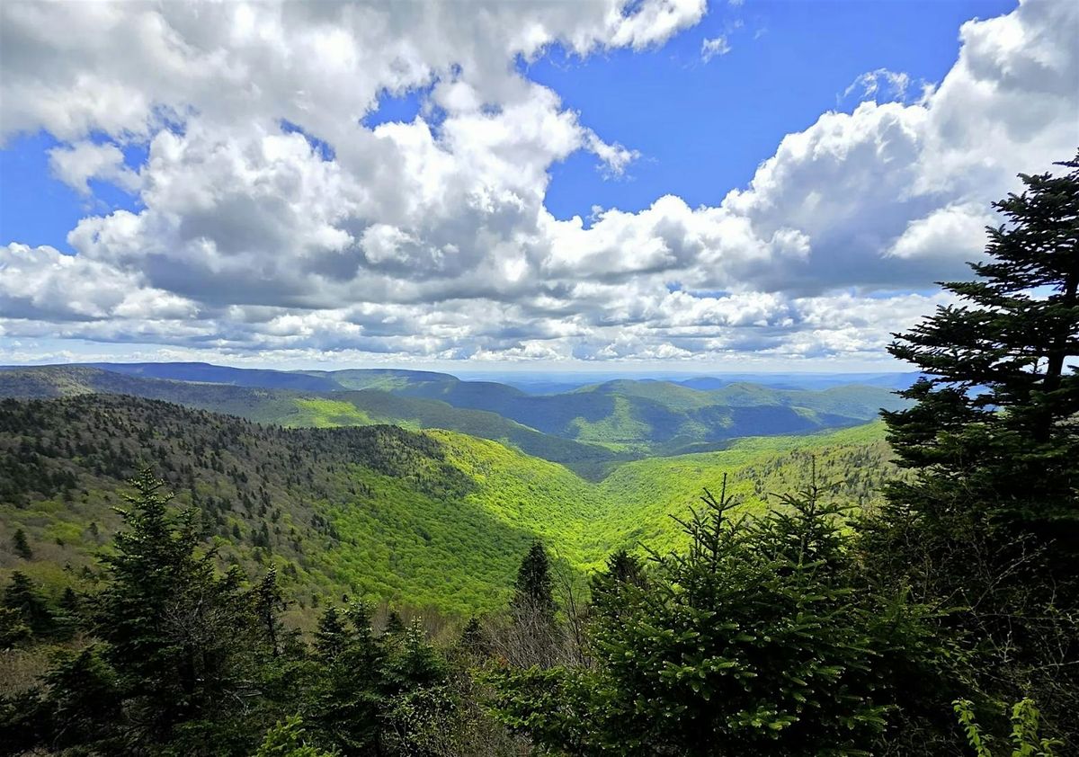 Catskill 3500 Guided Hike - West K*ll, 6 September | Event in West Kill | AllEvents