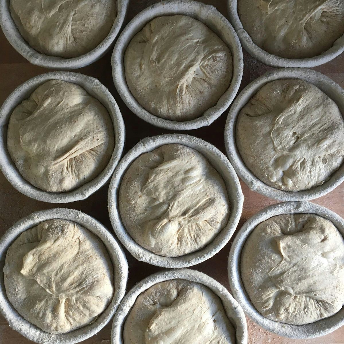 Is bread alive?, 27 October | Event in Oxford | AllEvents