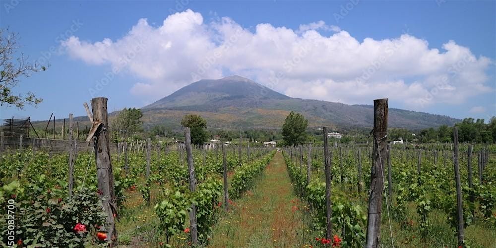 Guided Tasting Tour of Campania, 13 September | Event in Chicago | AllEvents