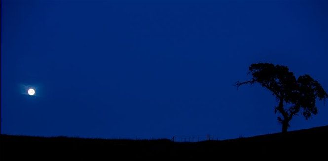 Full Moon Hike Series at Coyote Valley Open Space Preserve, 6 December | Event in Morgan Hill | AllEvents