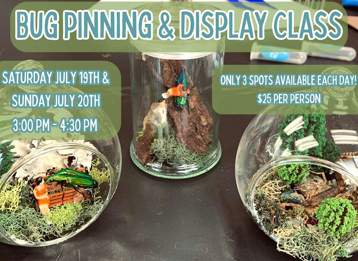 Bug Pinning & Display Class - July 2025, 19 July | Event in Beaver Dam | AllEvents