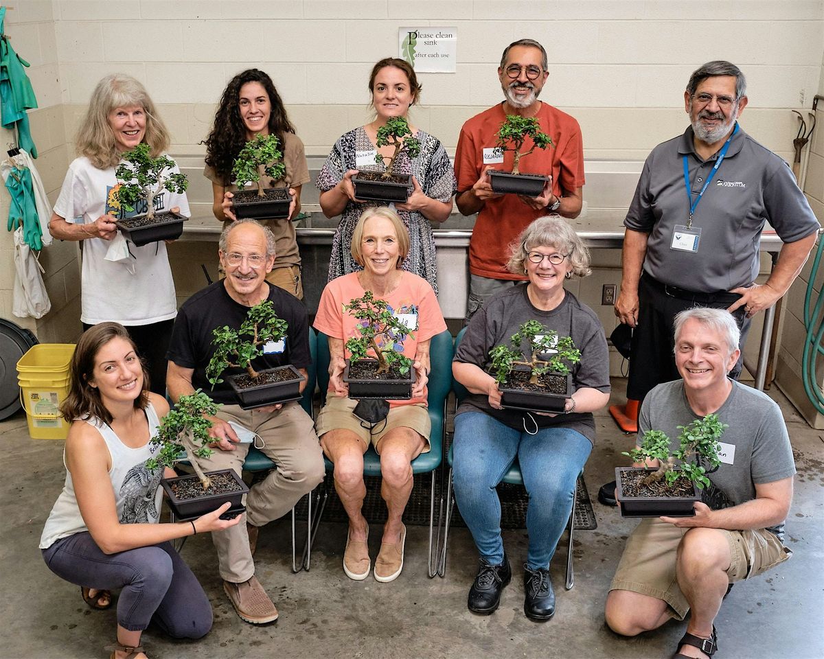 Beginning Bonsai Workshop, 6 September | Event in Asheville | AllEvents