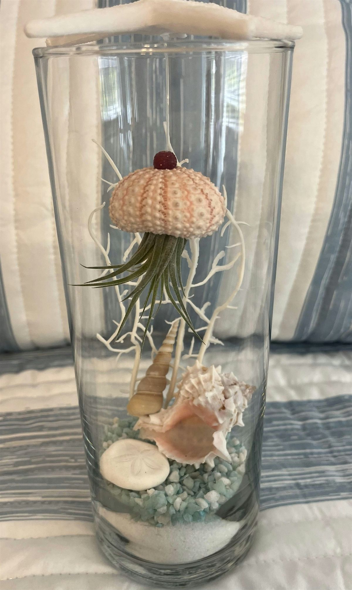 "Jellyfish" Succulent Terrarium Class, 12 July | Event in Ormond Beach | AllEvents