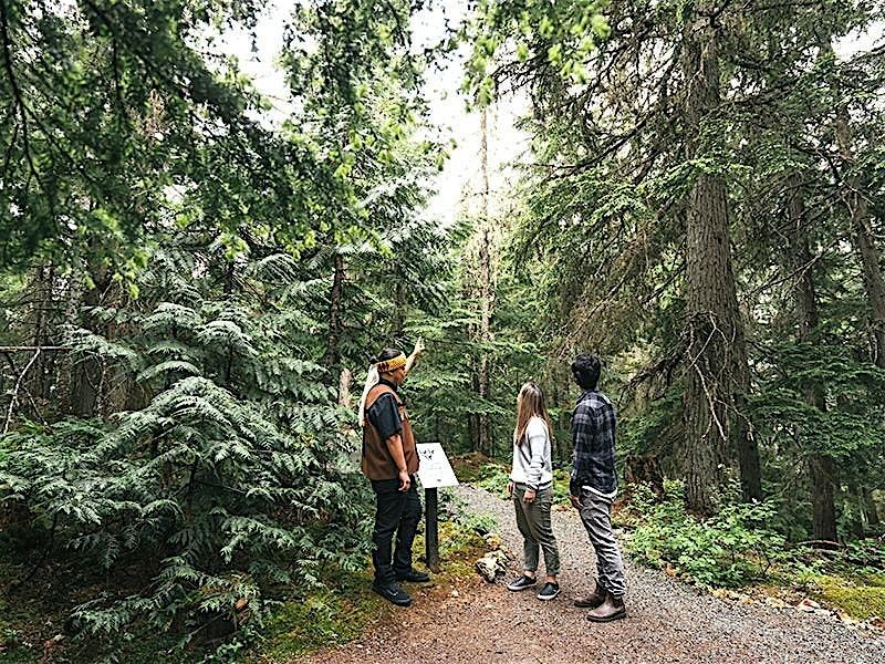 Guided Salish Forest Stroll, 8 June | Event in Whistler | AllEvents