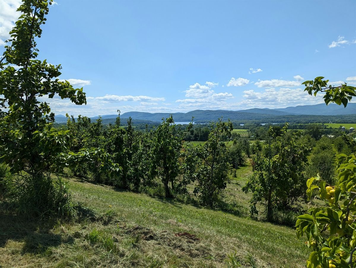 Tree ID and Natural History Tour of Red Rocks!, 3 September | Event in South Burlington | AllEvents
