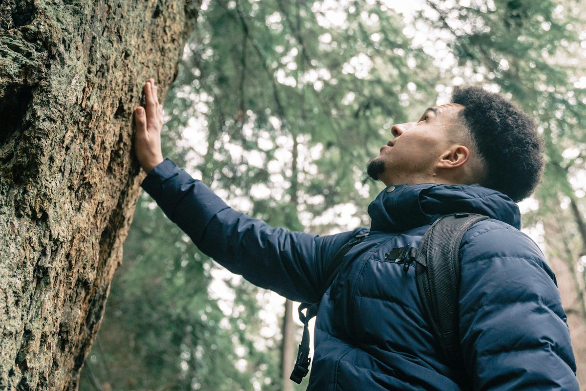 'Awaken the Senses' Forest Bathing - Windsor Great Park, Sunday 4 May, 4 May | Event in Windsor | AllEvents