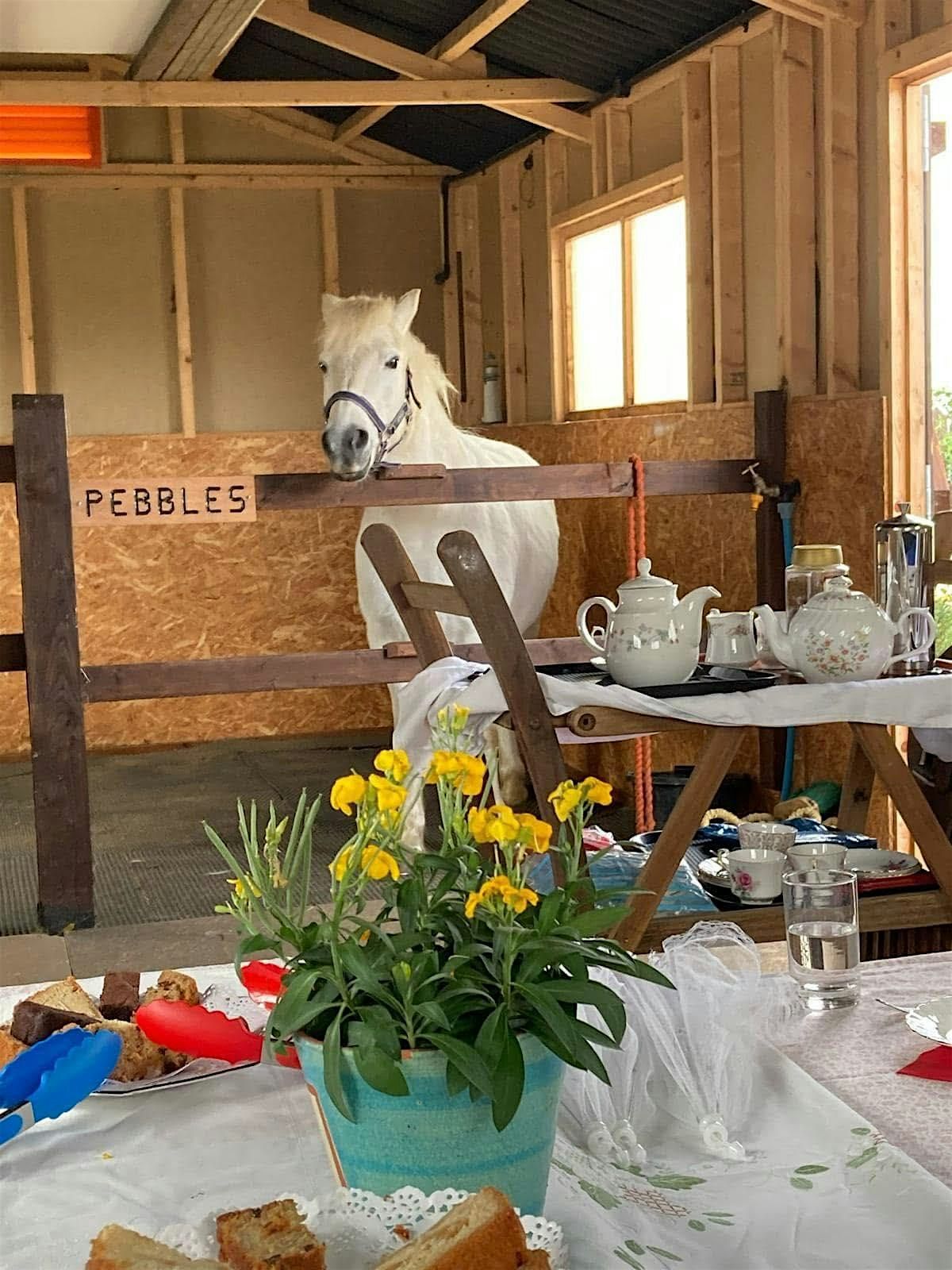 **Members of WNAG only** Tea with a Pony, 30 July | Event in Runcton Holme | AllEvents