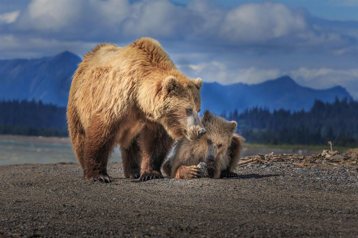 An Introduction to Better Wildlife Photography - LIVE w/Lewis Kemper, 14 June | Event in Kenmore | AllEvents