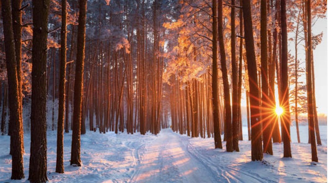 Roots Of The Season: Healing Wisdom for Wellness & Balance, Winter Workshop, 7 December | Event in Toledo