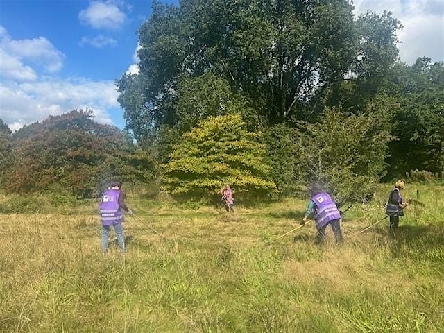 Gwirfoddoli gyda’r Ceidwad  | Volunteering with the Ranger, 18 October | Event in Cardiff | AllEvents