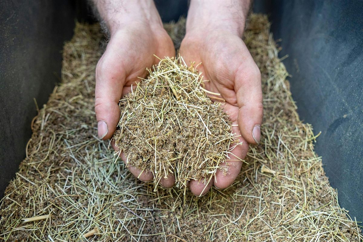 Seed session with Charles Dowding and tour of Bingenheimer Saatgut AG, 14 September | Event in Echzell | AllEvents