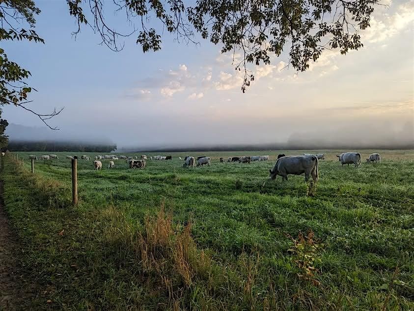 Open Paint at Bouressa Farm, 4 October | Event in New London | AllEvents