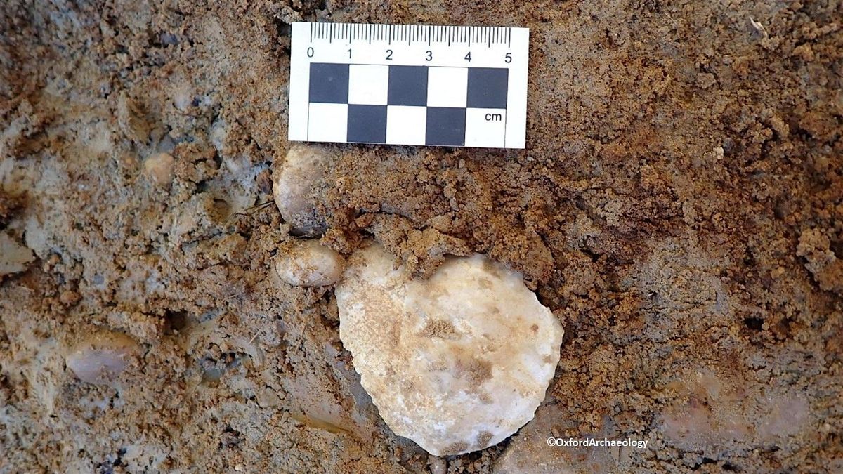 Recent A34 palaeolithic finds - A talk by Carl Champness, 16 July | Event in Abingdon | AllEvents