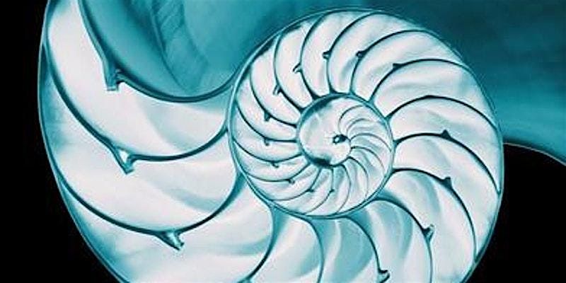 Sacred Geometry Level 1, 29 November | Event in Portland | AllEvents