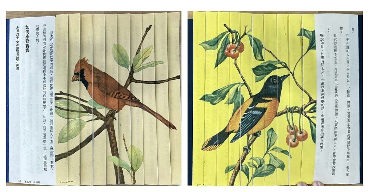 Dragon Scale Binding Workshop, 16 August | Event in Houston | AllEvents