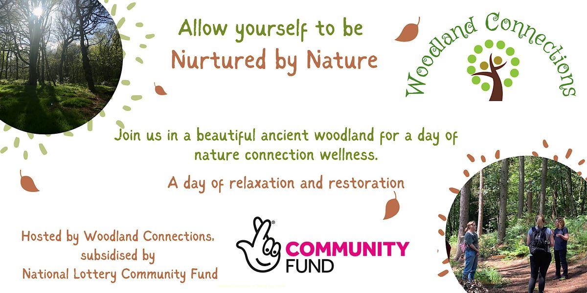 Nurtured by Nature - Woodland Well-being for adults in Shining Cliff Woods | Event in Ambergate | AllEvents