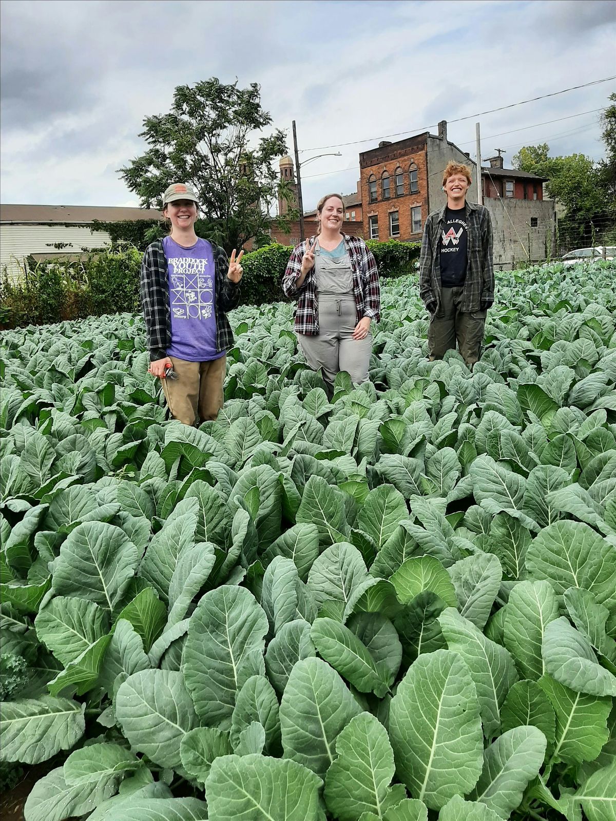 Growing Great Greens, 24 June | Event in Braddock | AllEvents