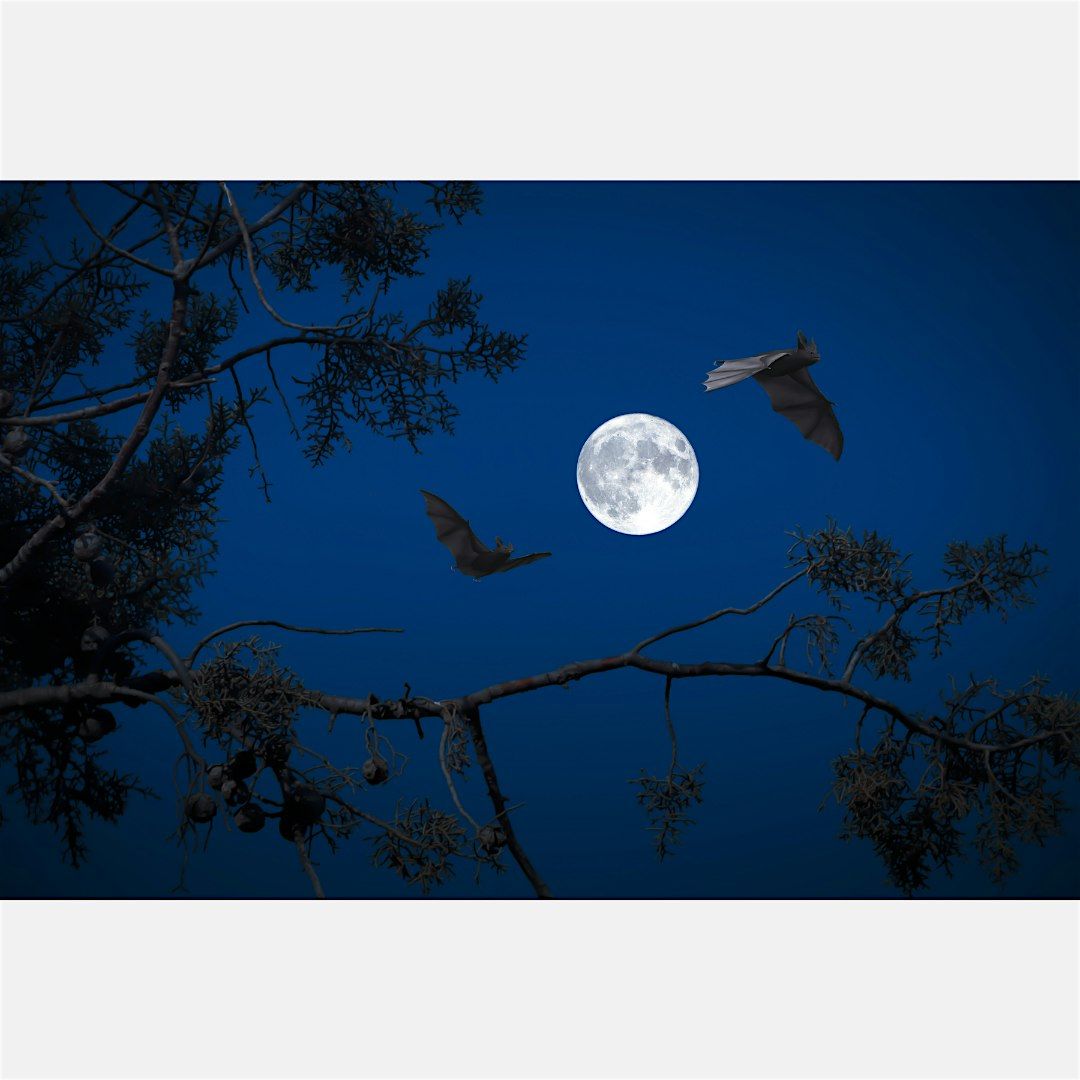 Bat Safari, Family Program, $4 per person upon arrival, 8 August | Event in Smithtown | AllEvents
