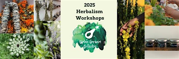 Things in Jars: Infused Oils, 17 July | Event in Chicago | AllEvents