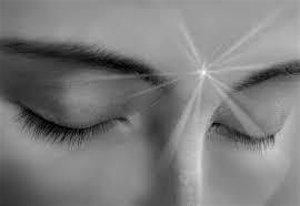 Introduction to Transmission Meditation - Edinburgh workshops 2025 | Event in Edinburgh | AllEvents