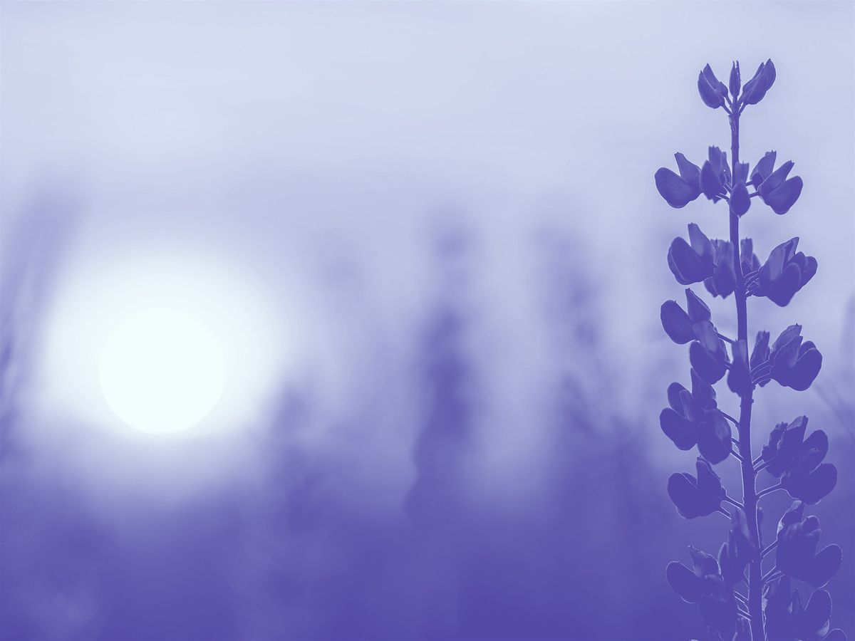 Turning to the Sun, 16 December | Event in Denver | AllEvents