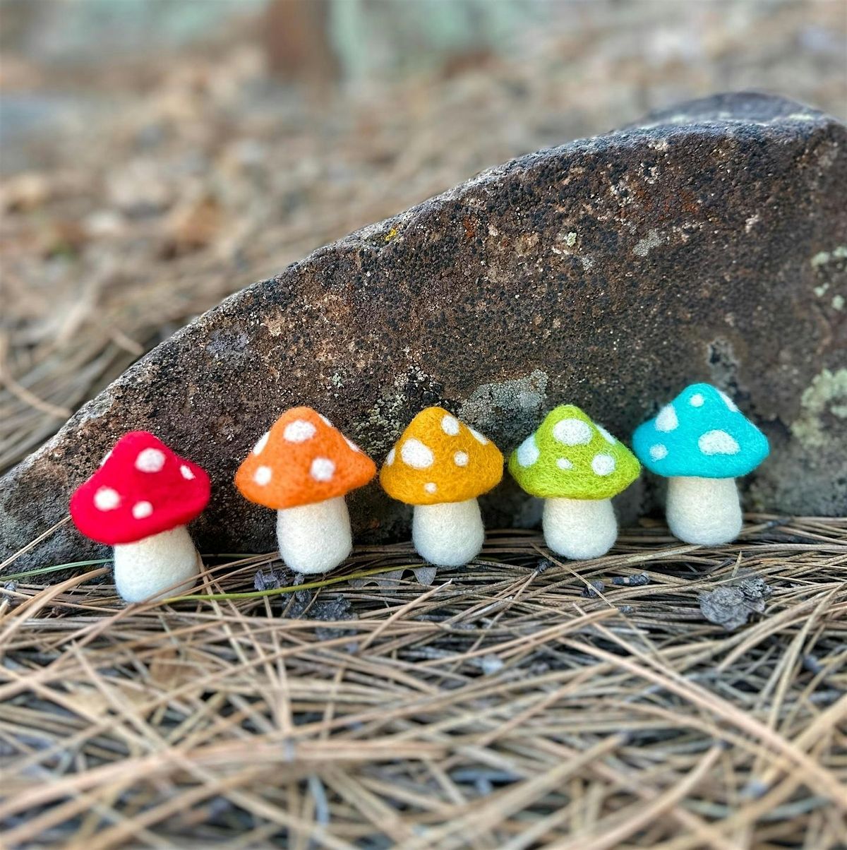 NEEDLE FELTING: ORNAMENTS OR KEYCHAINS, 15 August | Event in Monson | AllEvents
