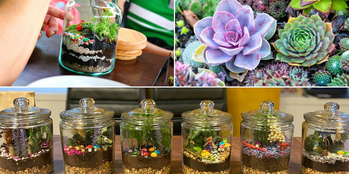 Closed Eco-System Terrarium Workshop - Astoria - Art Class by Classpop!™, 14 June | Event in Astoria | AllEvents