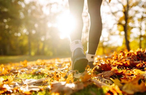 Fall Health Update - Palm Beach, 6 August | Event in Boynton Beach | AllEvents