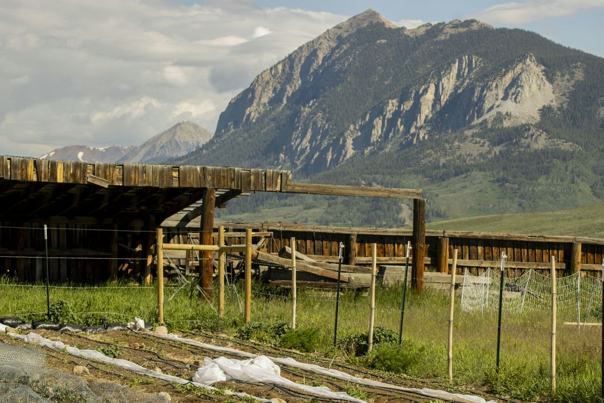 Integrated Pest Management Workshop, 18 August | Event in Crested Butte | AllEvents