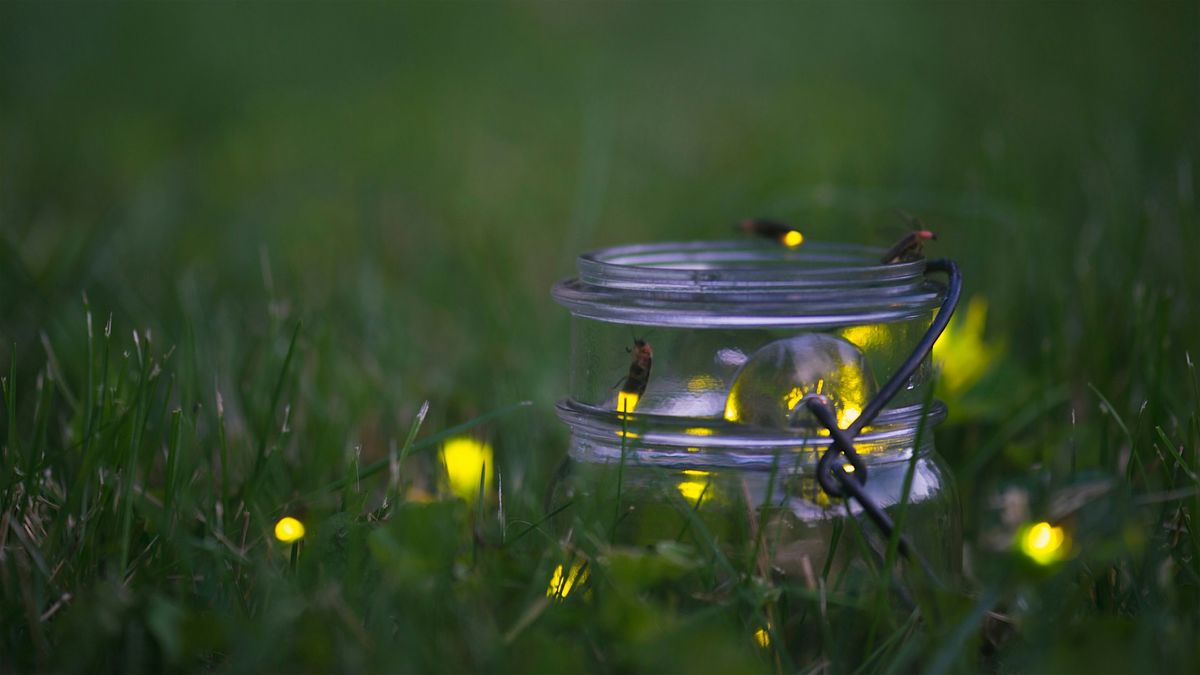 Firefly Fun!, 2 July | Event in New York | AllEvents